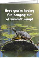 Thinking of You at Summer Camp Cute Turtles Hanging Out card