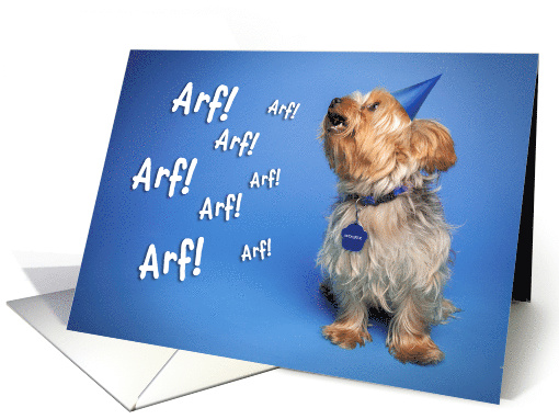 Yappy (Happy) Birthday For Anyone Little Dog Humor card (1574164)