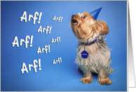 Yappy (Happy) Birthday For Anyone Little Dog Humor card