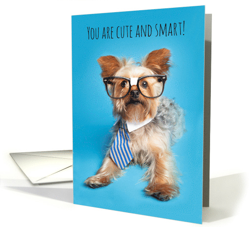 Happy Birthday For Anyone Cute and Smart Yorkshire Terrier Humor card