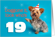 Happy 19th Birthday Yorkie in a Party Hat Humor card