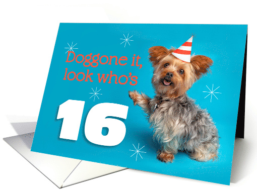Happy 16th Birthday Yorkie in a Party Hat Humor card (1575432)