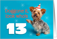 Happy 13th Birthday Yorkie in a Party Hat Humor card