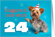 Happy 24th Birthday Yorkie in a Party Hat Humor card