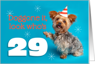 Happy 29th Birthday Yorkie in a Party Hat Humor card