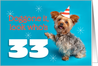 Happy 33rd Birthday Yorkie in a Party Hat Humor card