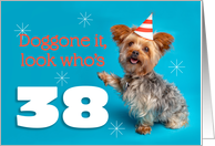 Happy 38th Birthday Yorkie in a Party Hat Humor card