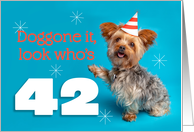 Happy 42nd Birthday Yorkie in a Party Hat Humor card