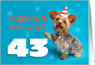 Happy 43rd Birthday Yorkie in a Party Hat Humor card
