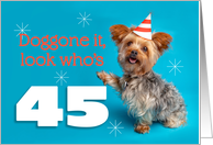 Happy 45th Birthday Yorkie in a Party Hat Humor card