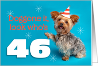 Happy 46th Birthday Yorkie in a Party Hat Humor card