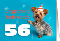 Happy 56th Birthday Yorkie in a Party Hat Humor card