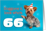 Happy 66th Birthday Yorkie in a Party Hat Humor card