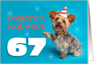 Happy 67th Birthday Yorkie in a Party Hat Humor card