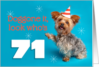 Happy 71st Birthday Yorkie in a Party Hat Humor card