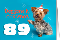 Happy 89th Birthday Yorkie in a Party Hat Humor card