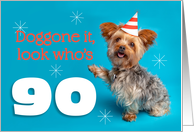 Happy 90th Birthday Yorkie in a Party Hat Humor card