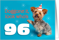 Happy 96th Birthday Yorkie in a Party Hat Humor card