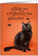 Happy Halloween For Anyone Black Cat with Spiders Humor card