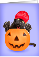 Happy Halloween Trump Cat Humor card