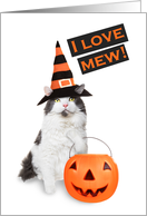 Happy Halloween For Anyone Cute Kitty Cat in Costume card