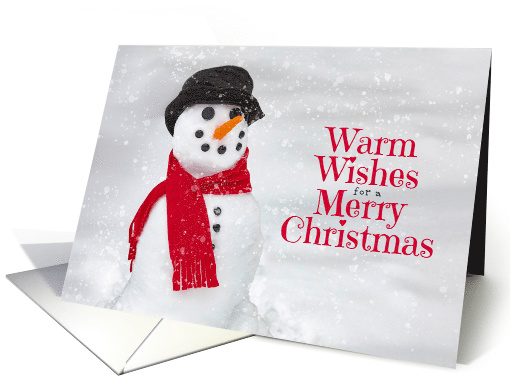 Merry Christmas For Anyone Cute Snowman Photograph card (1582954)