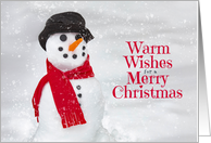 Merry Christmas For Anyone Cute Snowman Photograph card