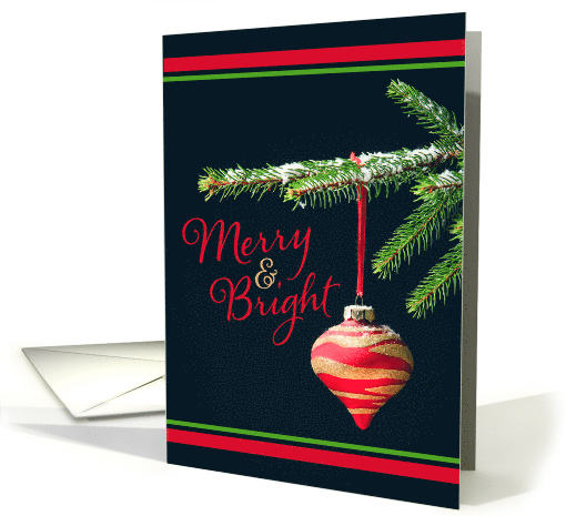 Merry Christmas For Anyone Merry and Bright Ornament card (1583722)