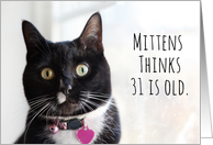Happy Birthday Humor Cat Thinks 31 is Old card