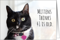 Happy Birthday Humor Cat Thinks 41 is Old card