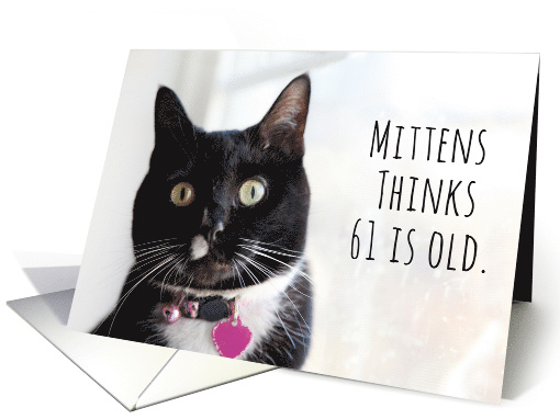 Happy Birthday Humor Cat Thinks 61 is Old card (1584050)
