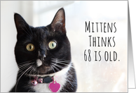 Happy Birthday Humor Cat Thinks 68 is Old card