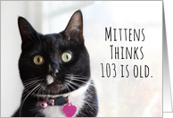Happy Birthday Humor Cat Thinks 103 is Old card