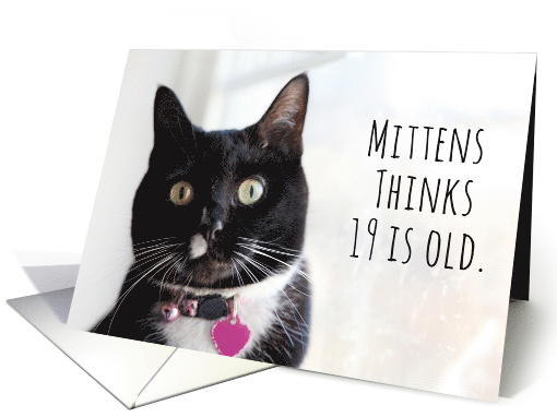 Happy Birthday Humor Cat Thinks 19 is Old card (1584376)