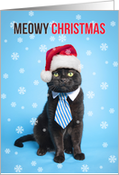 Meowy (Merry) Christmas For Anyone Cute Black Cat in Santa Hat card