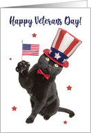 Happy Veterans Day Cute Patriotic Cat card