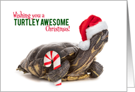 Merry Christmas For Anyone Cute Turtle in Santa Hat Humor card