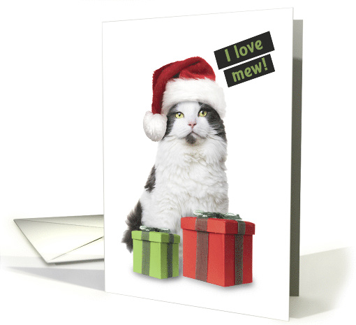 Merry Christmas For Anyone I Love Mew Cute Cat With Presents card