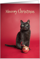 Meowy (Merry) Christmas Cat With Ornament Humor card