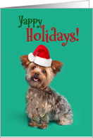 Yappy (Happy) Holidays Funny Yorkshire Terrier in Santa Hat Humor card