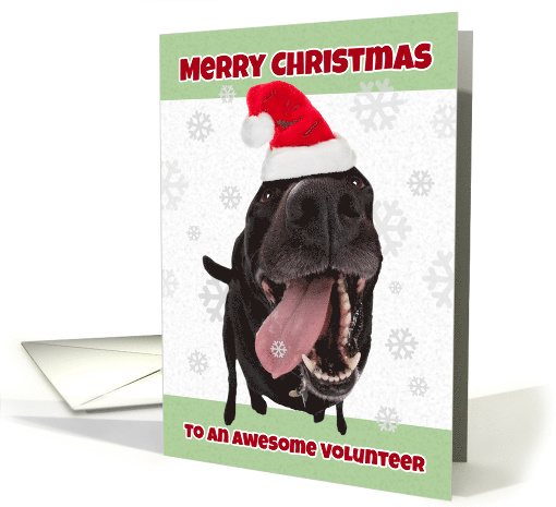 Merry Christmas Volunteer Cute Dog with Snowflake Humor card (1588916)