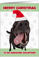 Merry Christmas Volunteer Cute Dog with Snowflake Humor card