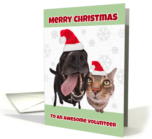 Merry Christmas Volunteer Cute Cat and Dog Humor card (1588918)