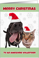Merry Christmas Volunteer Cute Cat and Dog Humor card