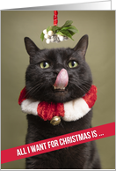 Merry Christmas Funny Cat Under Mistletoe with Tongue Out Humor card