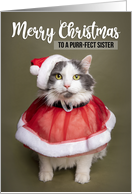 Merry Christmas Sister Cute Cat in Santa Costume Humor card