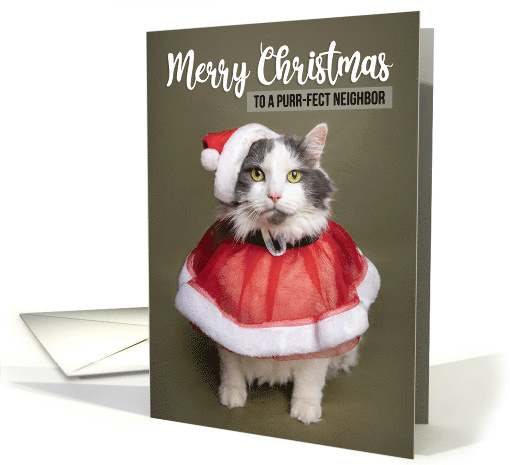 Merry Christmas Neighbor Cute Cat in Santa Costume Humor card