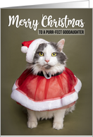 Merry Christmas Goddaughter Cute Cat in Santa Costume Humor card