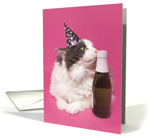 Happy New Year For Anyone Cute Cat in Hat with Champagne Humor card