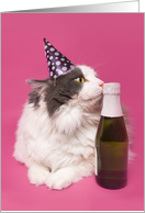 Happy New Year For Anyone Cute Cat in Hat with Champagne Humor card